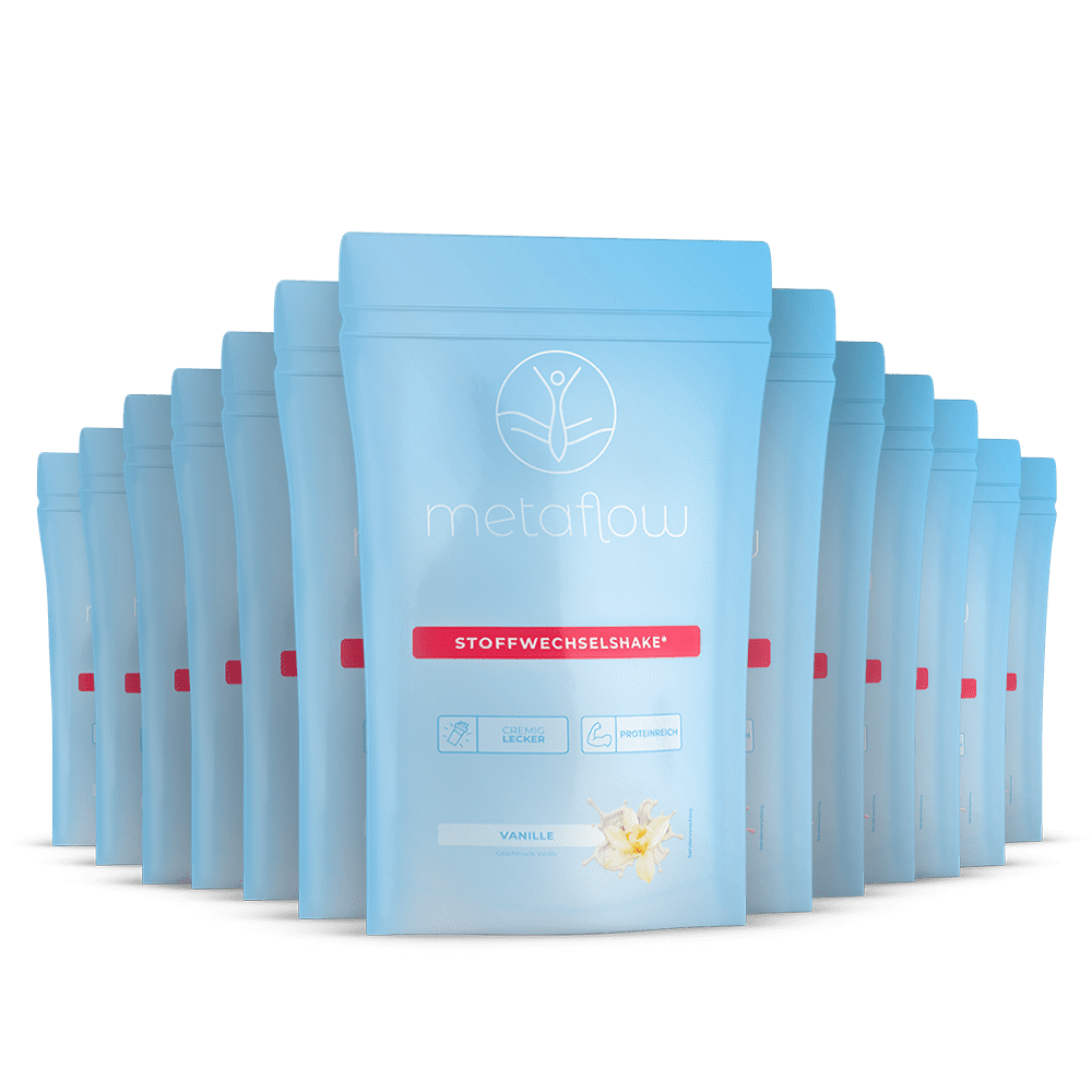 MetaFlow Stoffwechselshake 13 Packungen