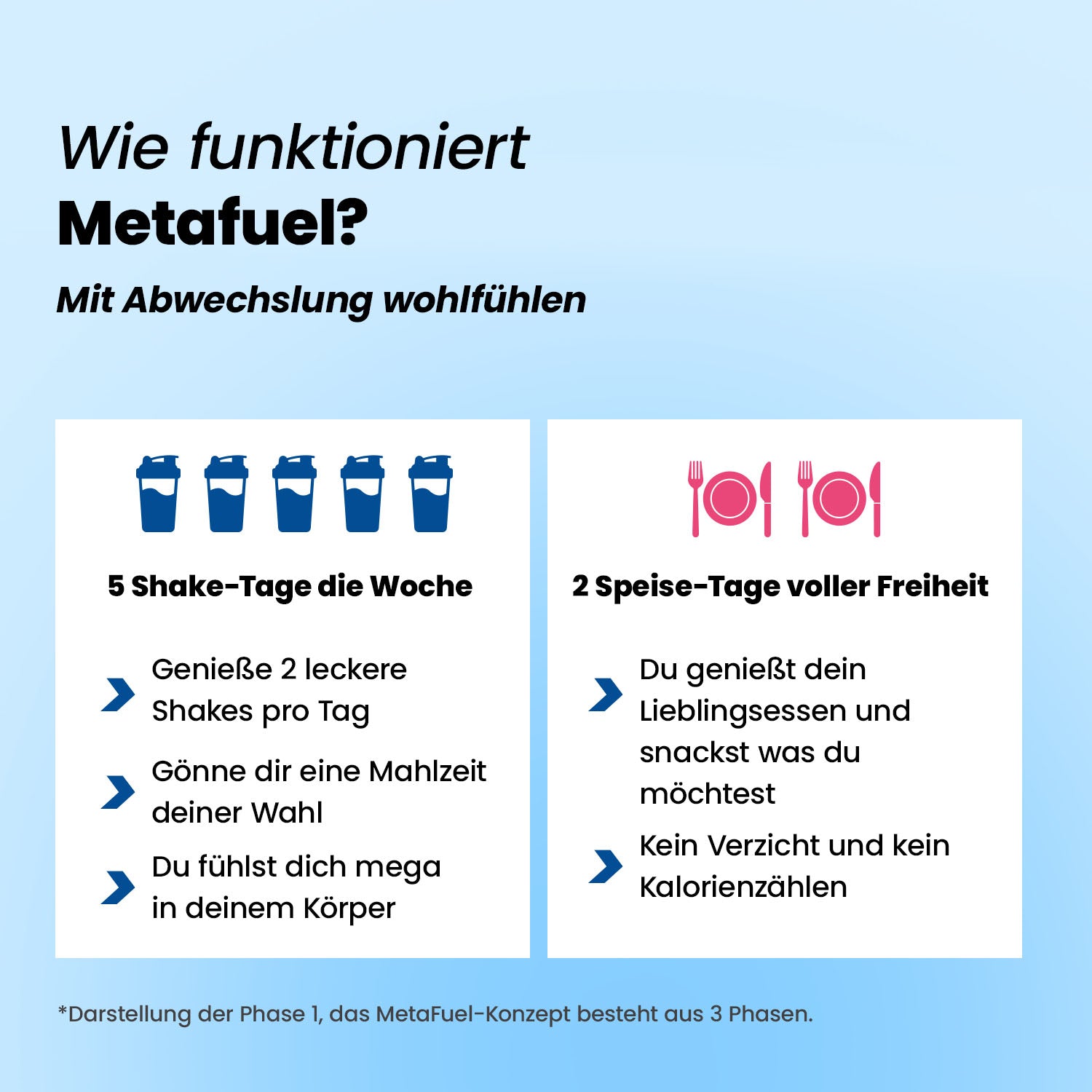 MetaFuel Abnehm-Shake² Starter-Set