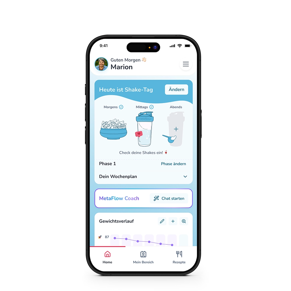 Dummy GRATIS: MetaFlow App Grafik für "das bekommst du Section"