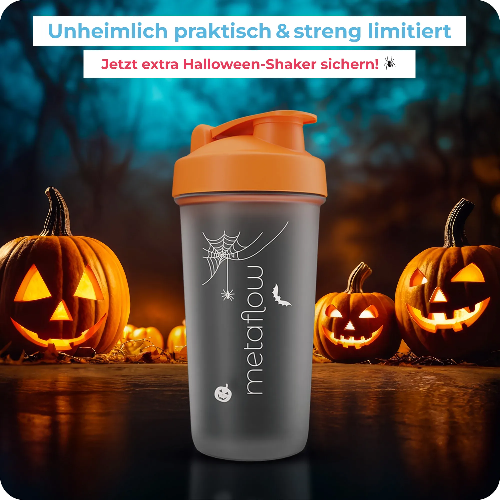 4 Wochen Starter-Set