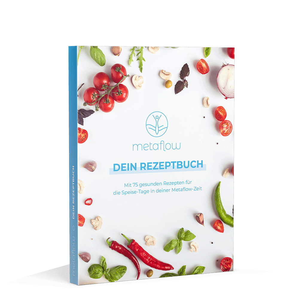 MetaFlow Rezeptbuch