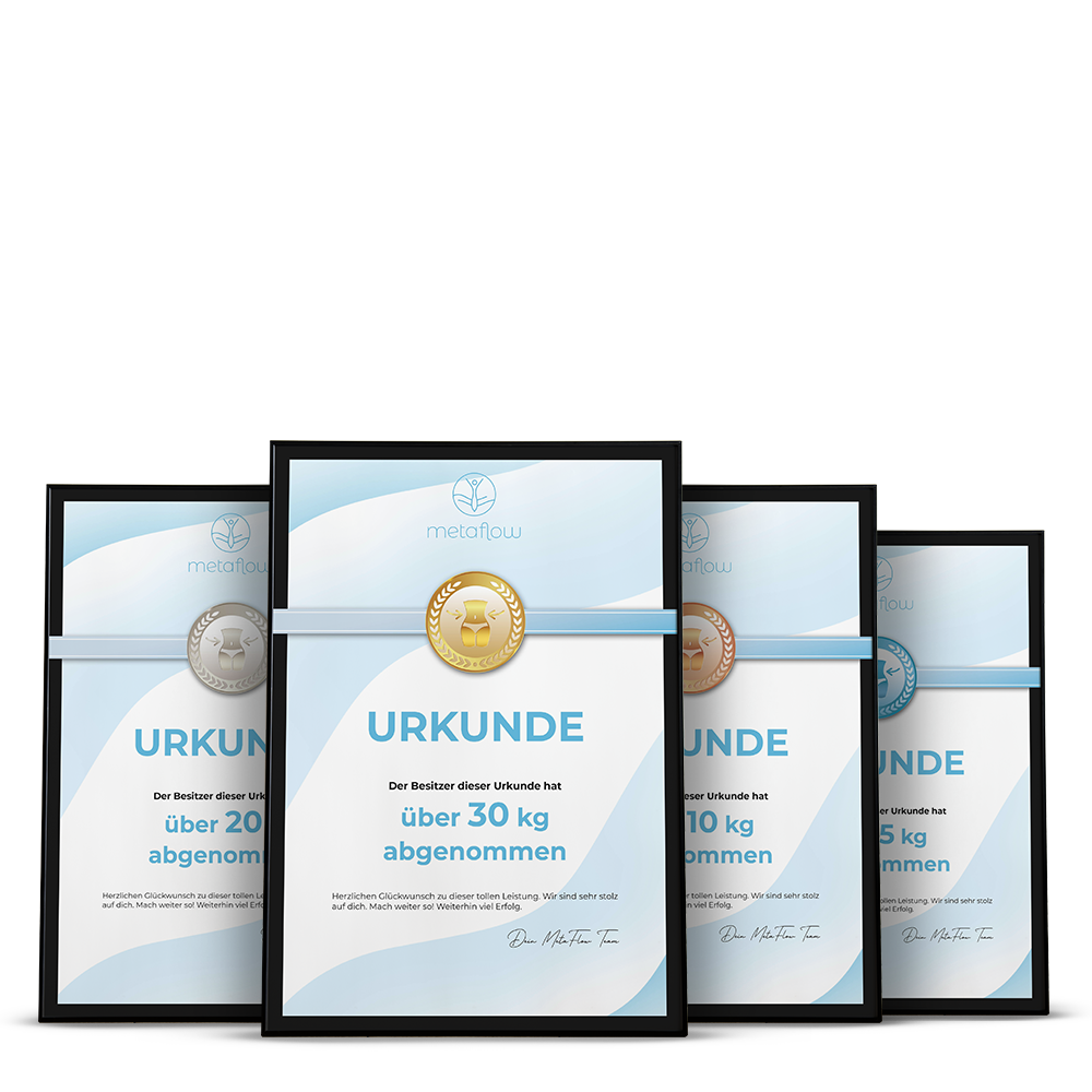 MetaFlow Urkunden abgenommen