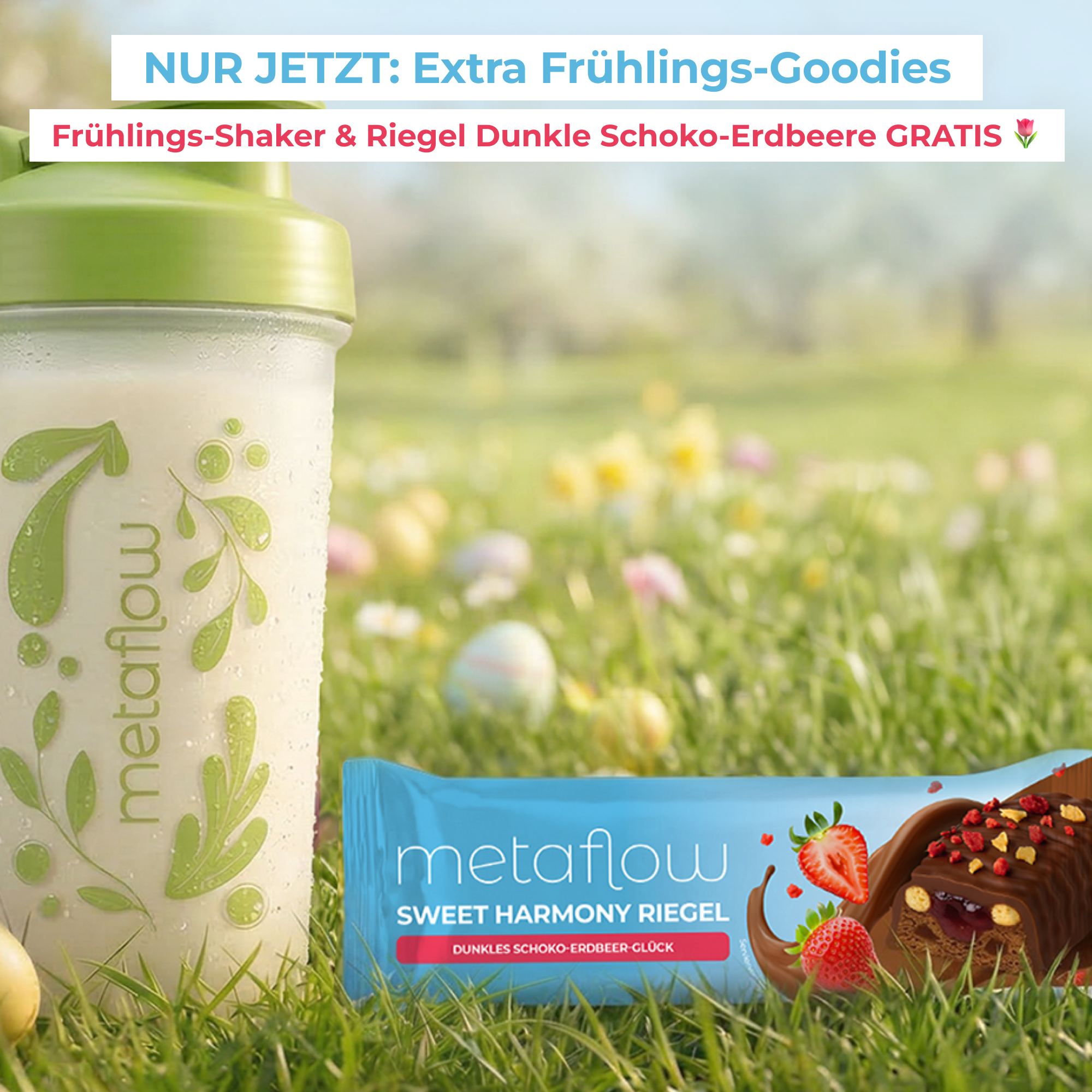 Abnehm-Shake² Starter-Set